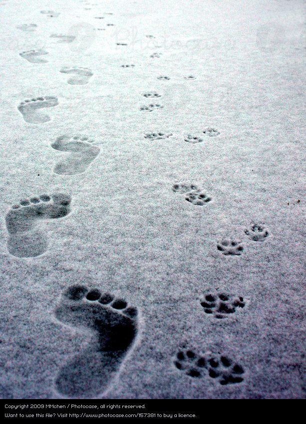 voet sneeuw