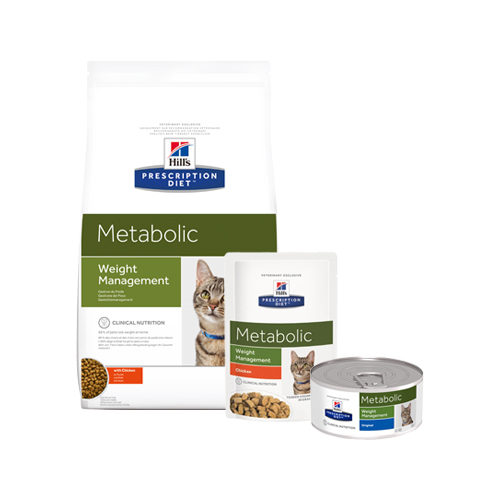 feline metabolic