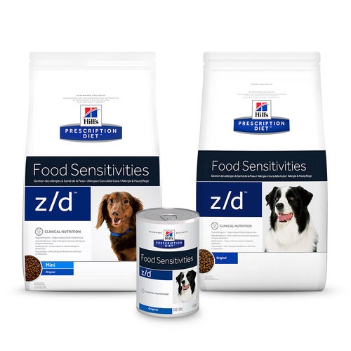 zd canine