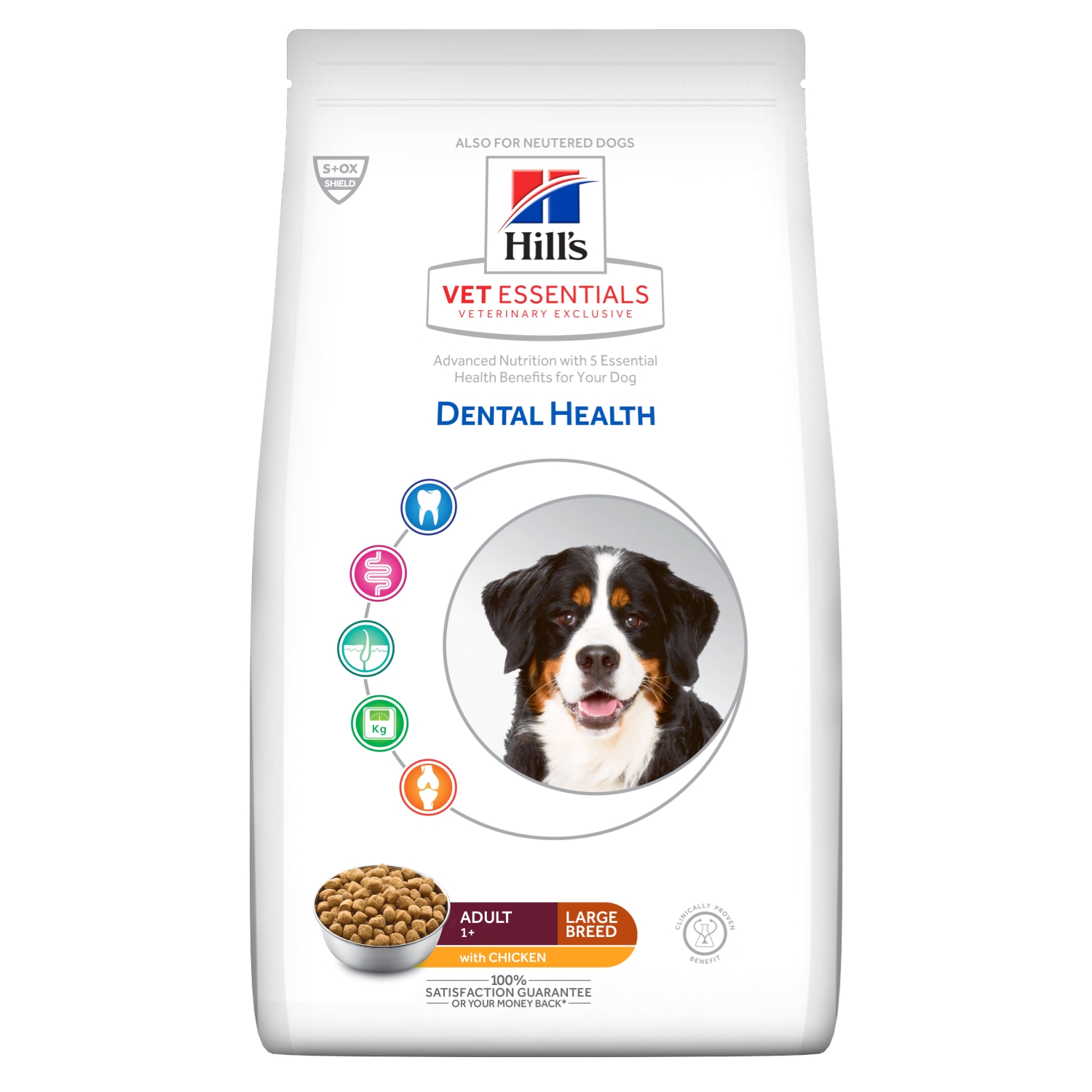 adult large breed dental